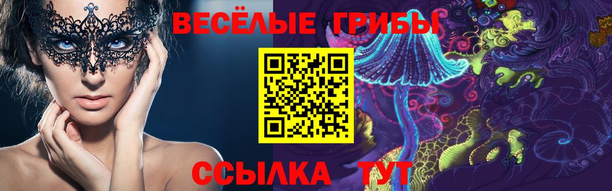 Зеленодольск  Псилоцибиновые грибы прущие грибы  Вход с VPN 
